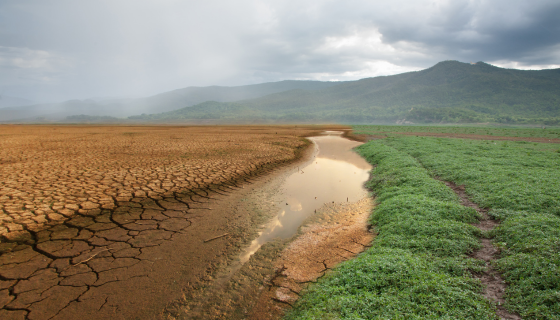 Climate Migration: The Overlooked Crisis